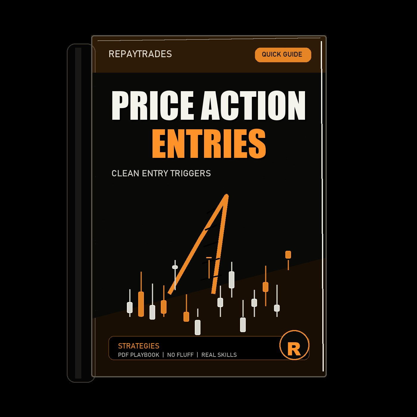 REPAYTRADES black book-only cover 2026 - Price Action Entries